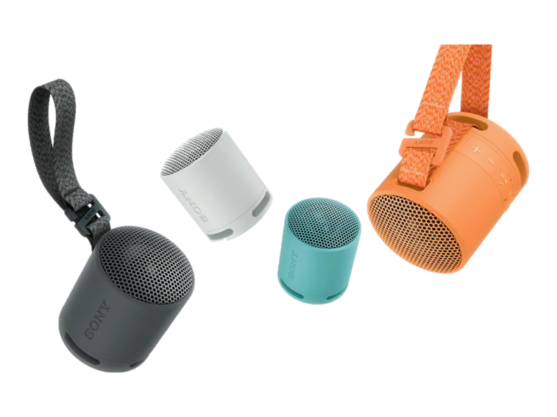 Sony SRS-XB100 Wireless Portable Speaker