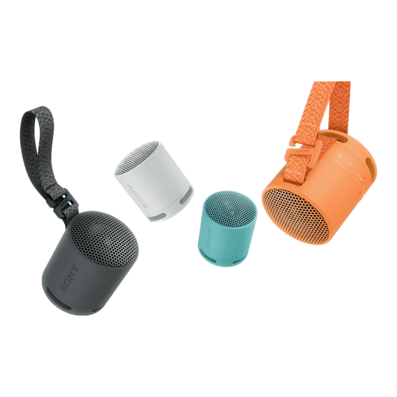 Sony SRS-XB100 Wireless Portable Speaker