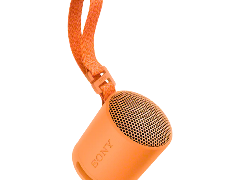 Sony SRS-XB100 Wireless Portable Speaker - image 3