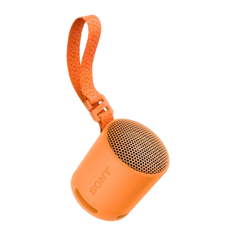Sony SRS-XB100 Wireless Portable Speaker - Image 3
