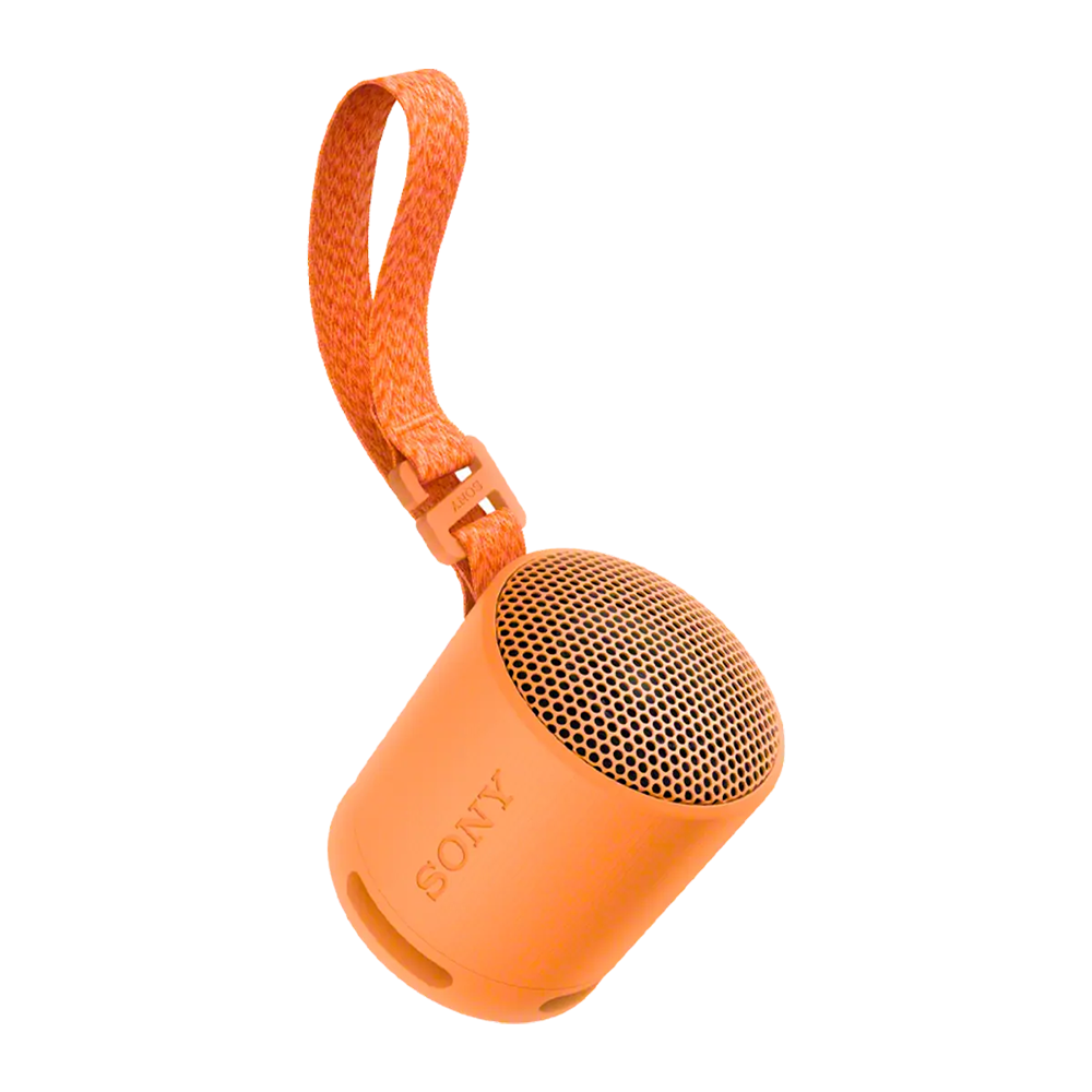 Sony SRS-XB100 Wireless Portable Speaker - Image 3