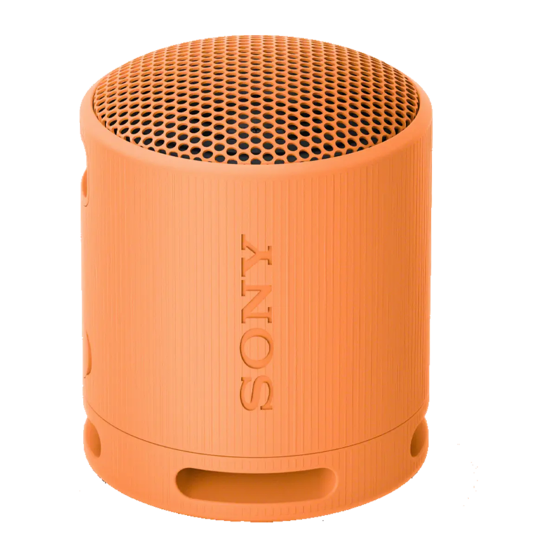 Sony SRS-XB100 Wireless Portable Speaker - Image 5
