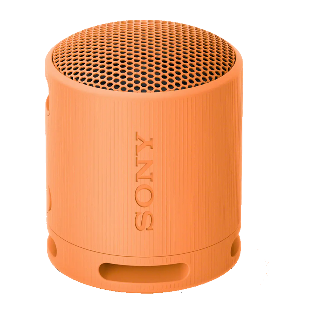 Sony SRS-XB100 Wireless Portable Speaker - Image 5