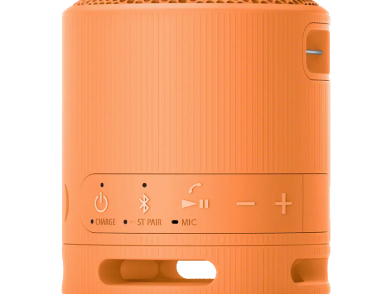 Sony SRS-XB100 Wireless Portable Speaker - image 6