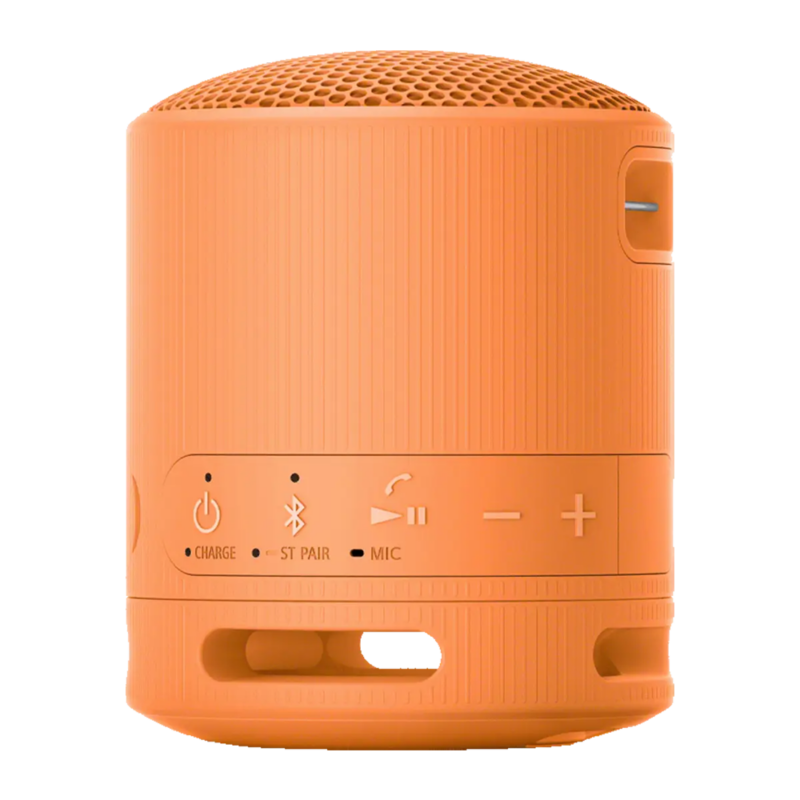 Sony SRS-XB100 Wireless Portable Speaker - Image 6