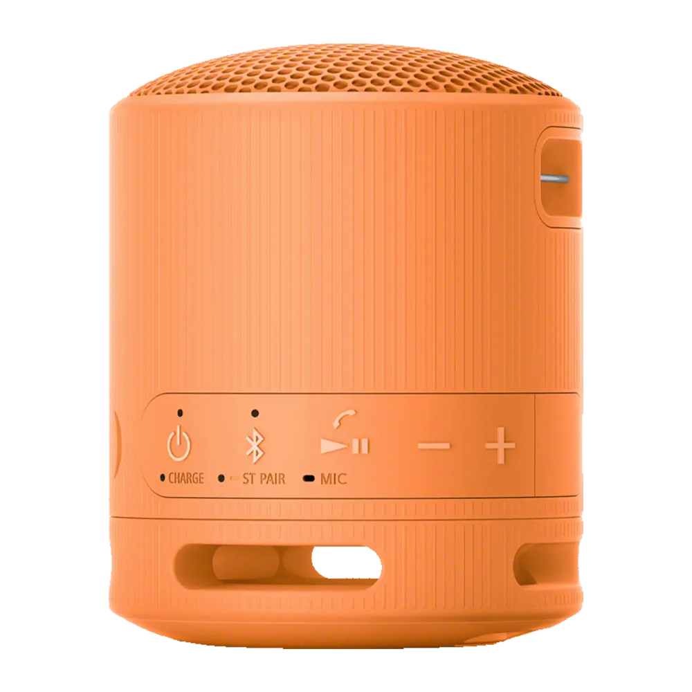 Sony SRS-XB100 Wireless Portable Speaker - Image 6