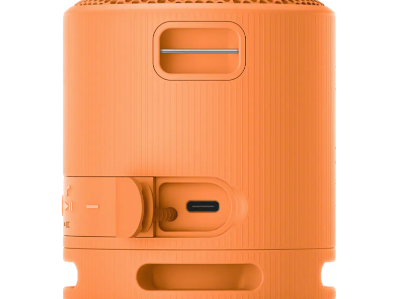 Sony SRS-XB100 Wireless Portable Speaker - image 7