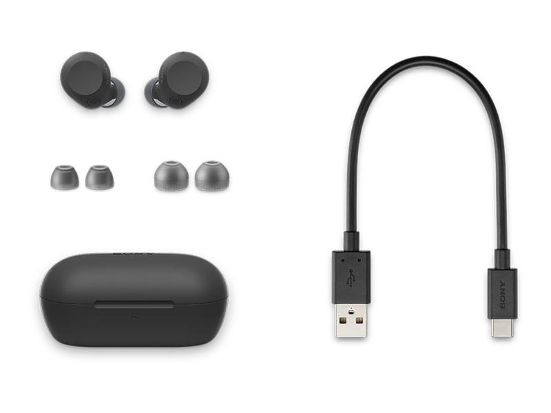 Sony WF-C710 Truly Wireless Ear Buds - image 8