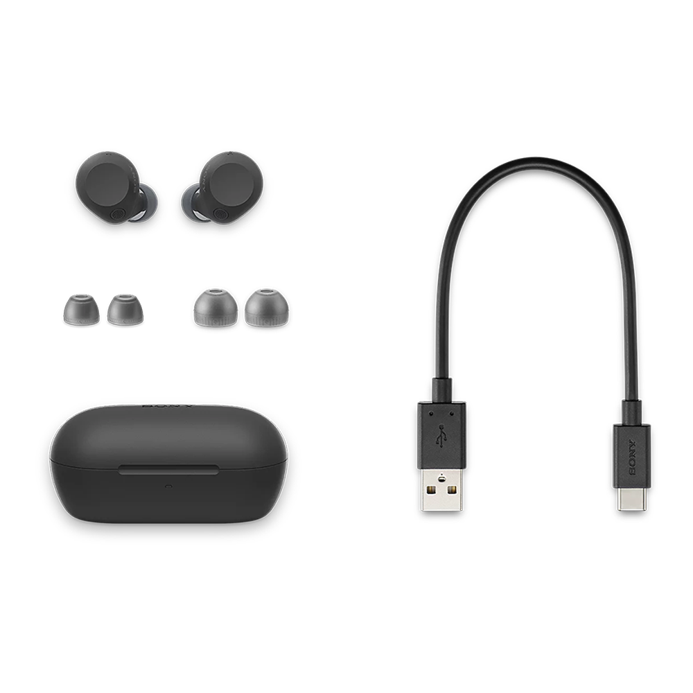 Sony WF-C710 Truly Wireless Ear Buds - Image 8